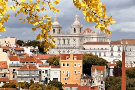 Concerto Inesperado de Wisdom: Um Ícone Persa Encanta Lisboa!